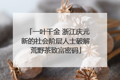 一叶千金 浙江庆元新的社会阶层人士破解荒野茶致富密码